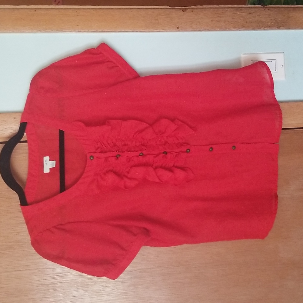 Anthropologie Odille Burnt Red Swiss Dot Top Shirt sz 4